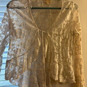 Donna Ricco Sheer Lace Blouse in Cream